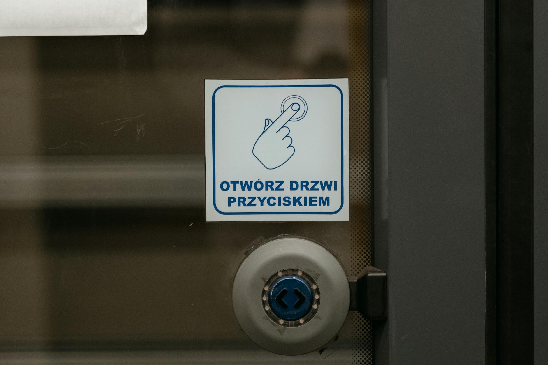Polish Grammar
